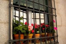 Concurso Decoración de Fachadas