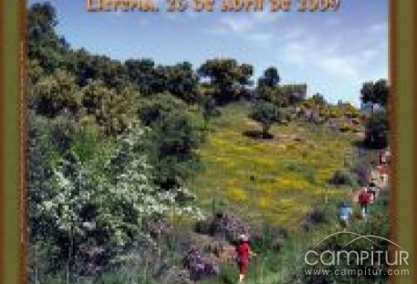 La Ruta del Rey Jayón alcanza este año su IX edición 